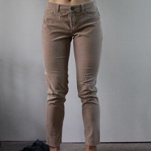 Telluride Low-Rise Beige Corduroy Pants, Size 8